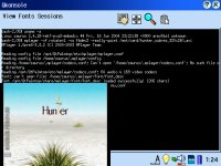 MPlayer on a Zaurus SL-C760