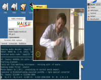 MPlayer on Haiku